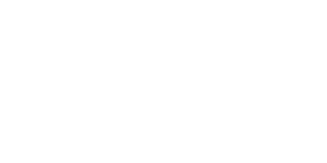 Logo blanc naroy